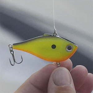 Featured image for “Larson FX”