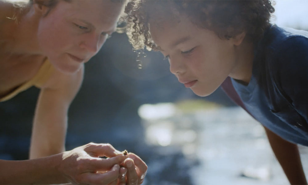 Featured image for “State of Washington – Spokane”