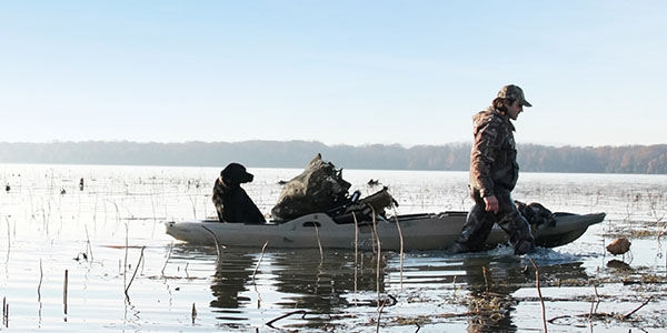 Featured image for “Predator”