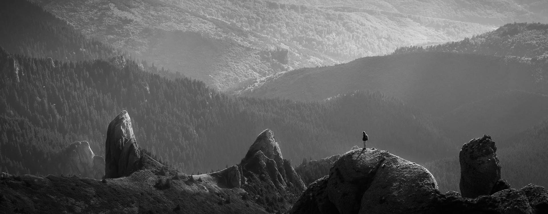 Featured image for “Enlightened Consumerism”