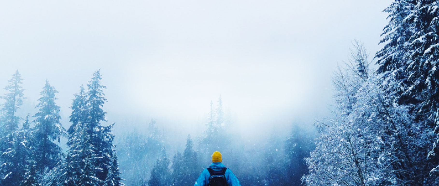 2023 ADVENTURE TIME visual data 2